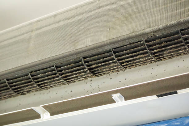 Best Best Air Duct Cleaning Company  in Indian Springs Village, AL